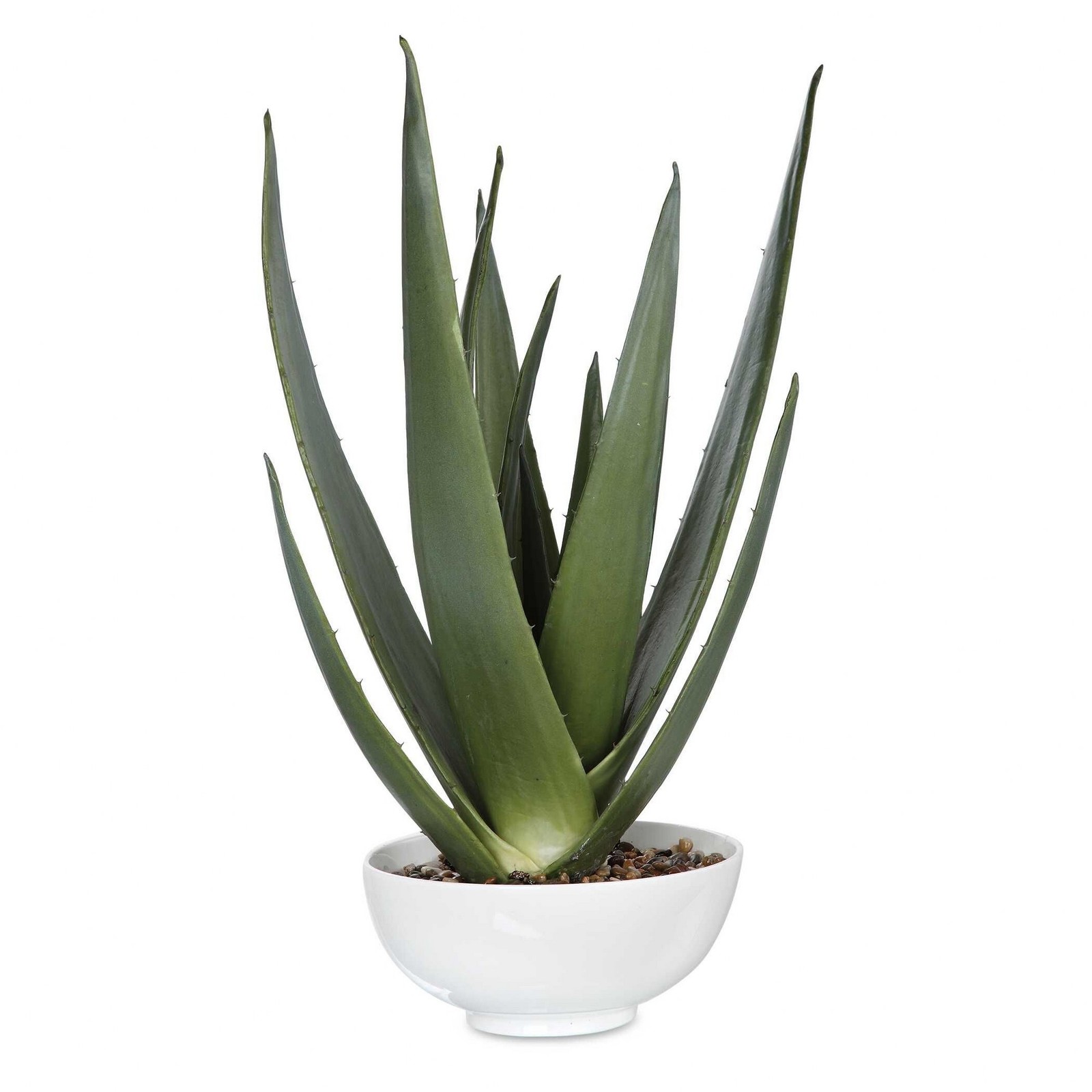 Evarado – 30 inch Aloe Planter Accessories Uttermost 60177