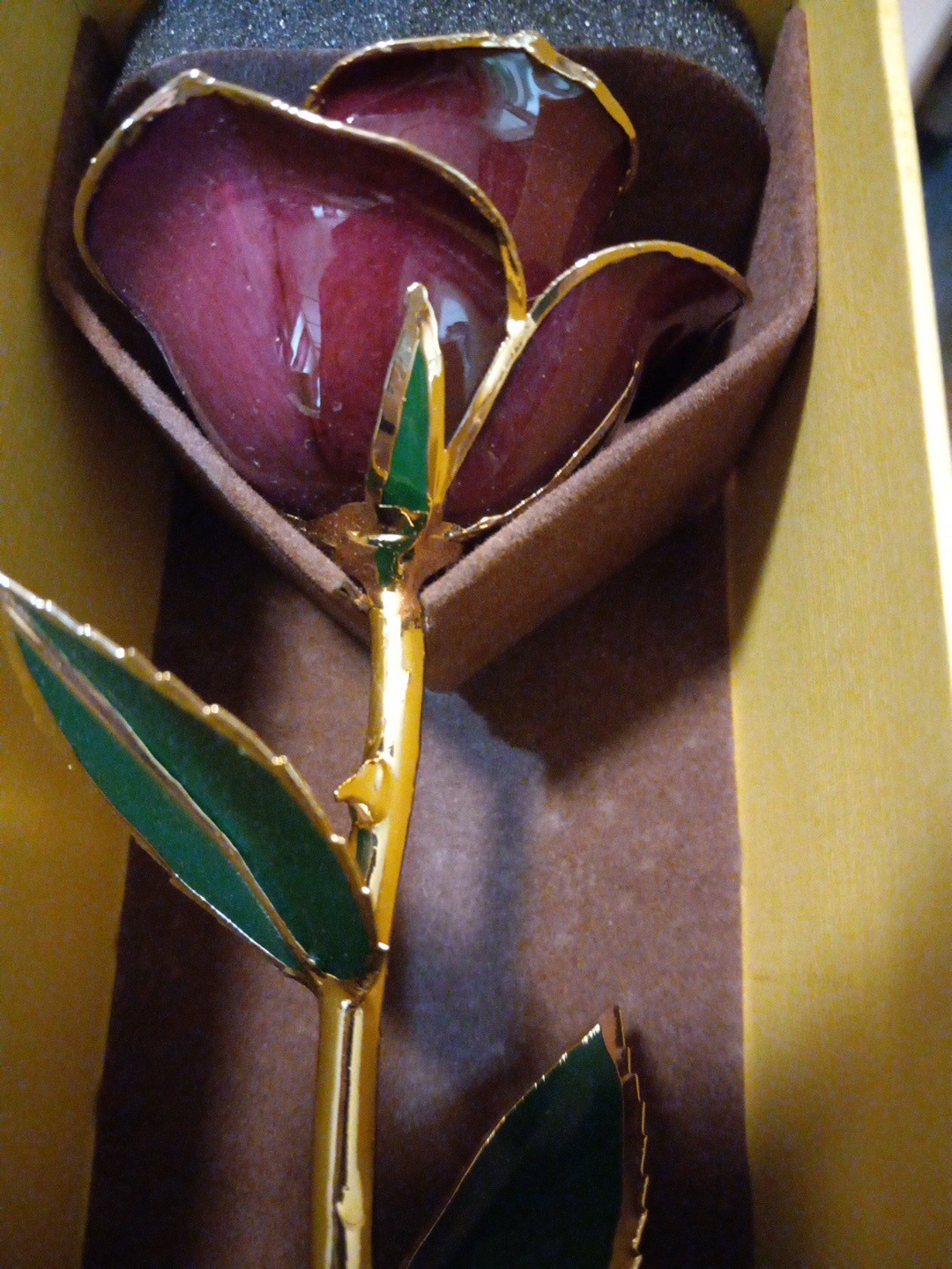 ZJchao Gold Dipped Real Rose Premium Long Stem