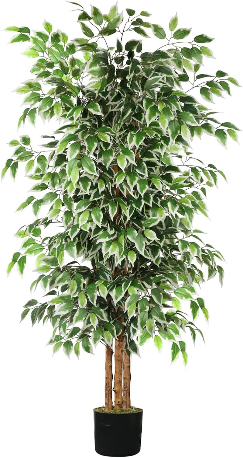 6Ft Tall Faux Ficus Tree with Natural Trunk for Home and Office Decor