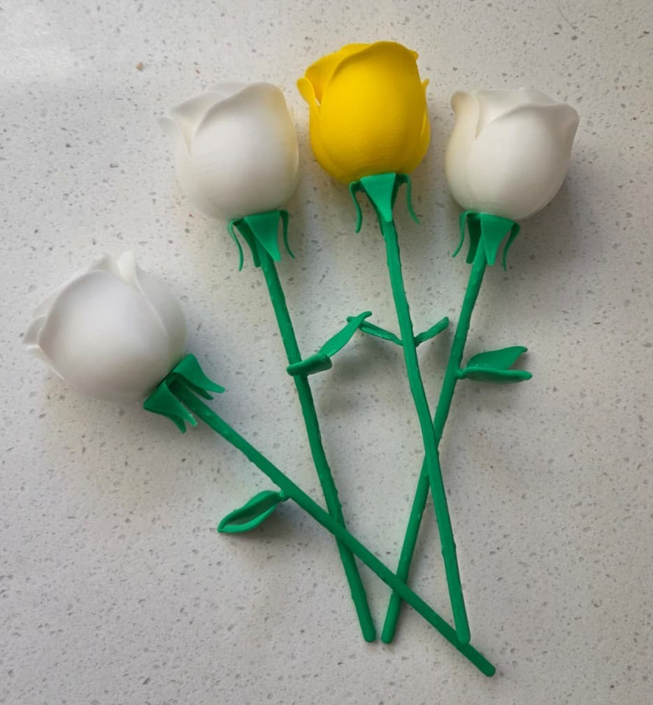 3D Printed Roses -Birthday – Valentine’s Day – Mothers Day – Gift