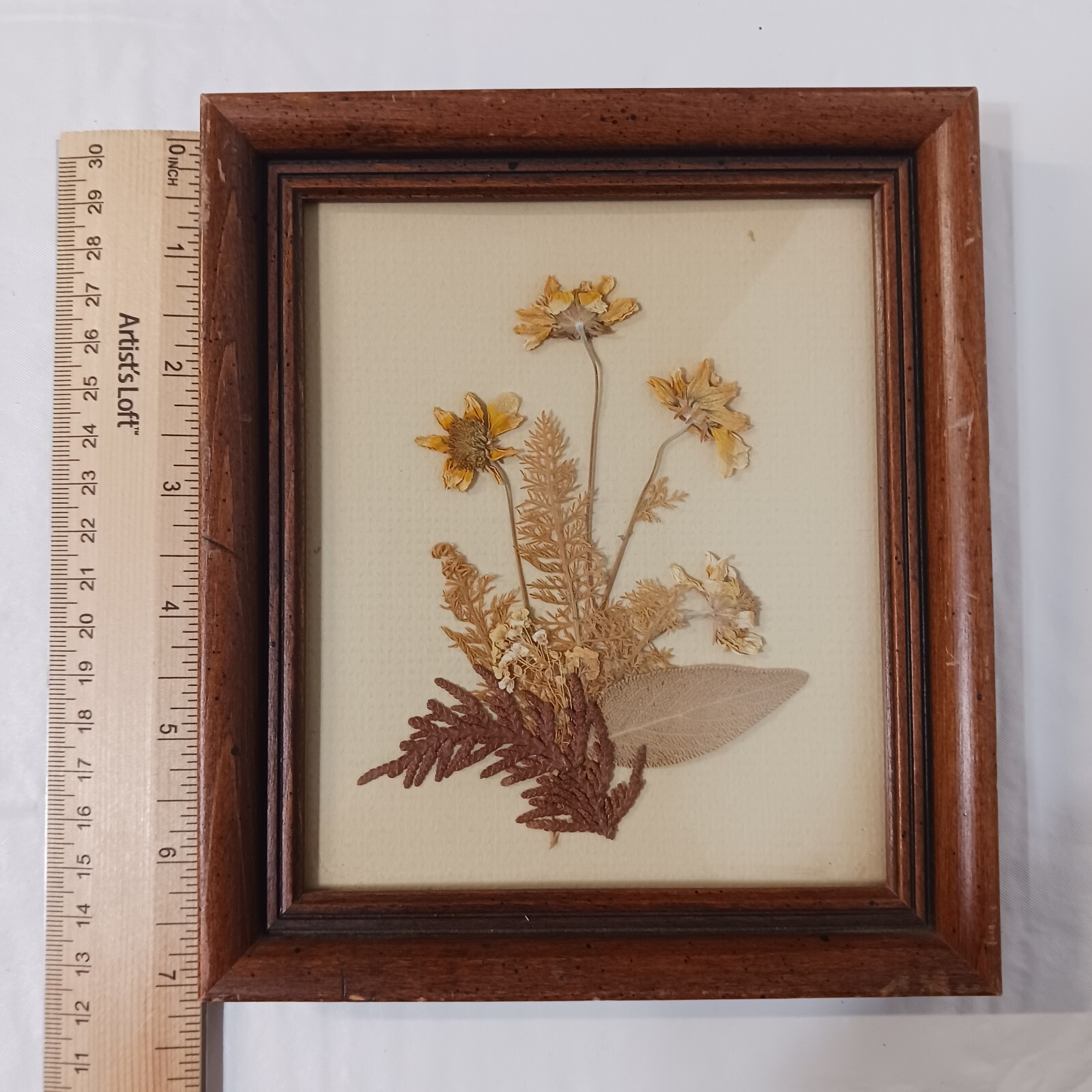 Framed Dried Flower Arrangement 7×6 Multicolored Custom Framed