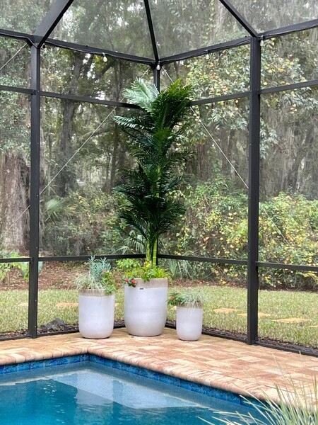 10’ Double Stalk Golden Cane Artificial Palm Tree Real Touch). Retail $334