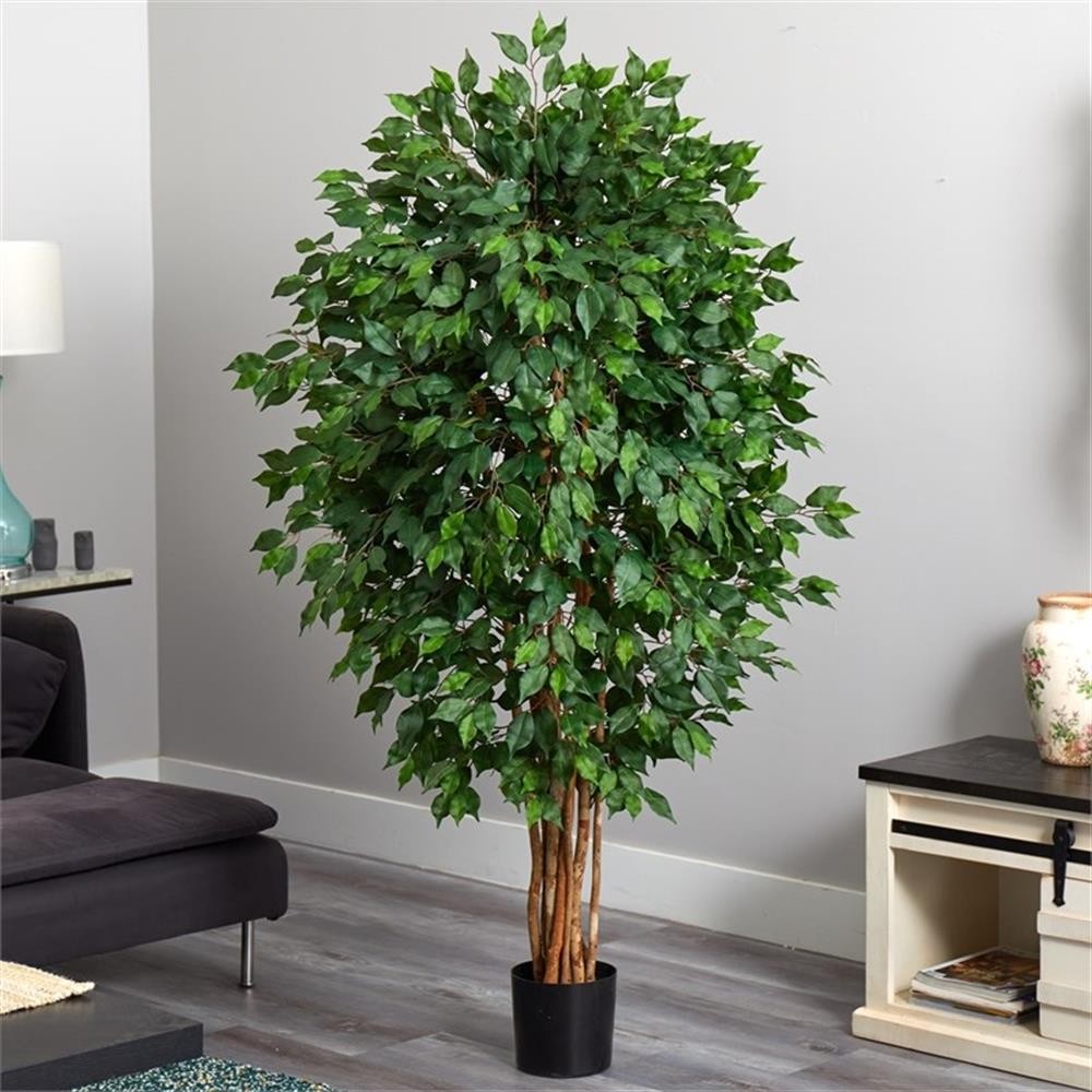 Pemberly Row 66″ Ficus Artificial Tree with Several Trunks in Green/Black