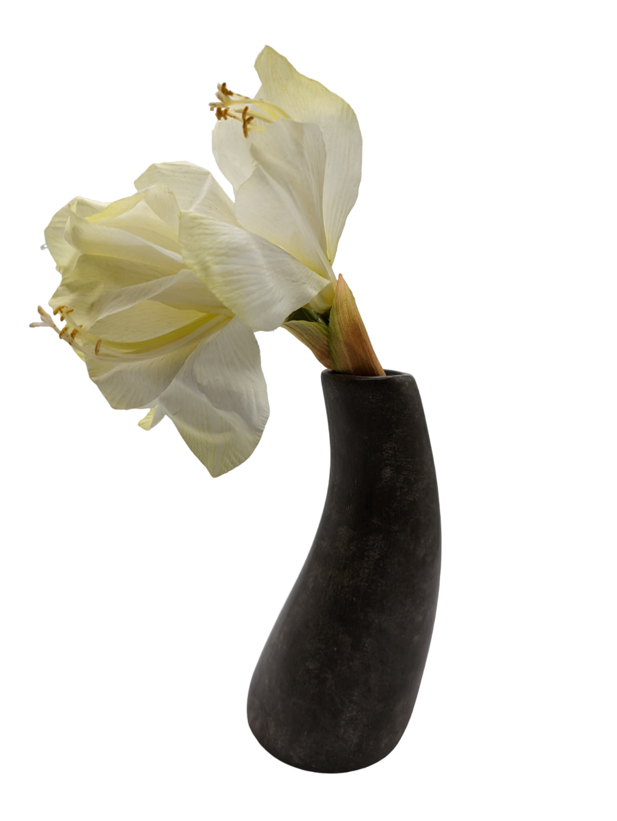 Rare Pier 1 Imports Ceramic Curved Potted Amaryllis Flower Home Decor 13 in