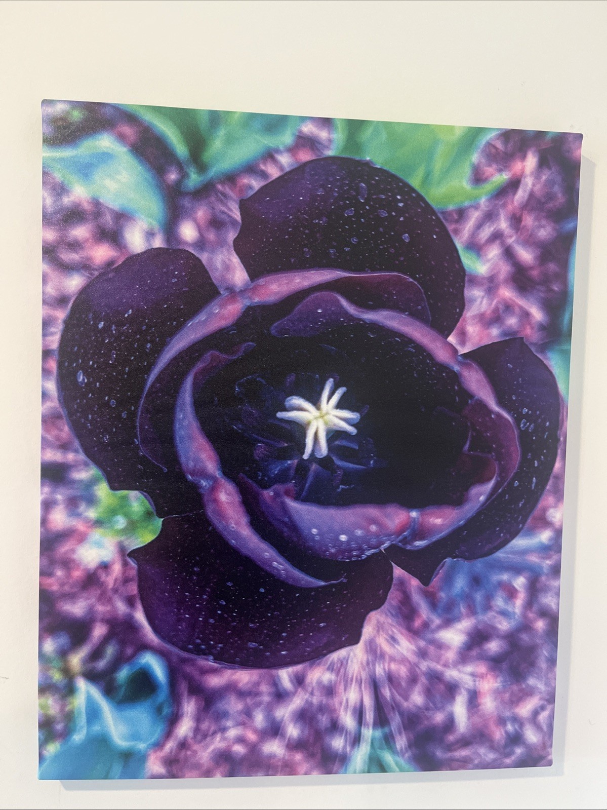 A Beautiful Purple Flower