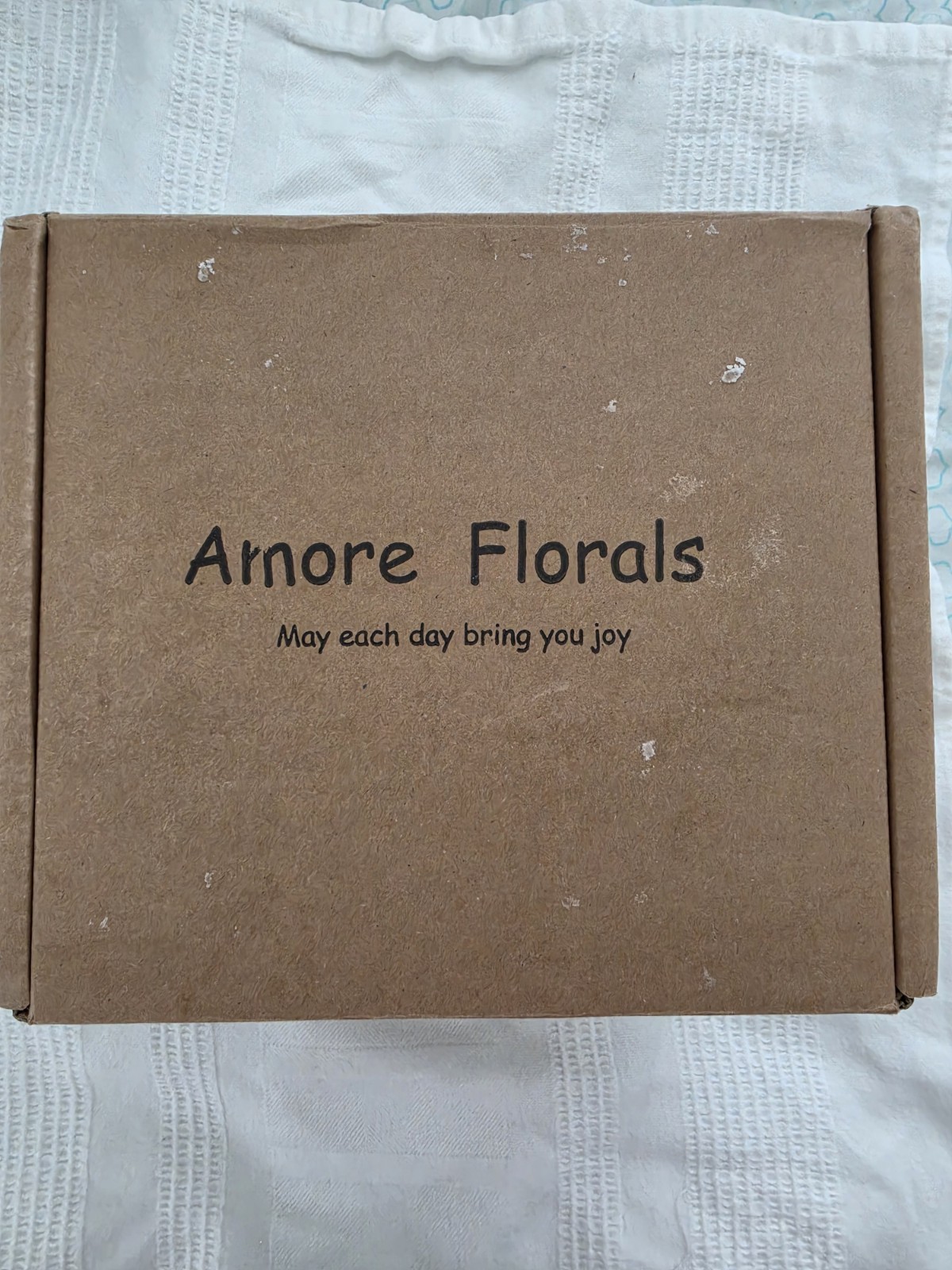 Arnore Florals Artificial Succulent & Cactus Garden Planters Set of 2 4in