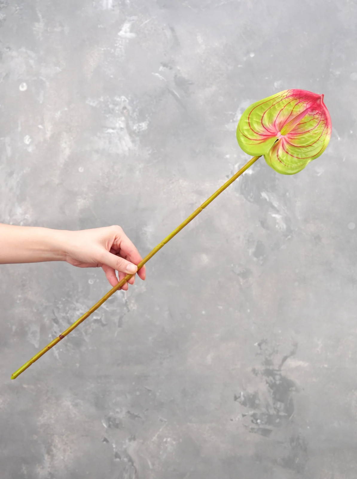 24″ Real Touch Faux Anthurium – Green | Artificial Flower | Decoration