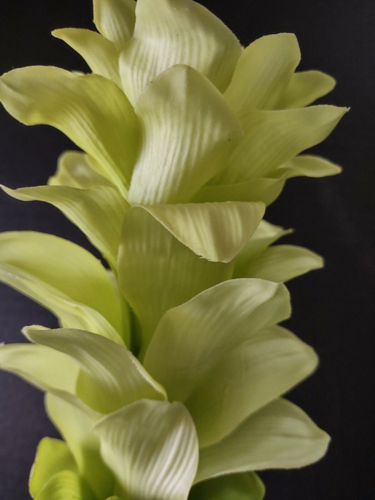 Ginger lily stem. Silk arrangements tropical Hawaiian flowers Lime Green