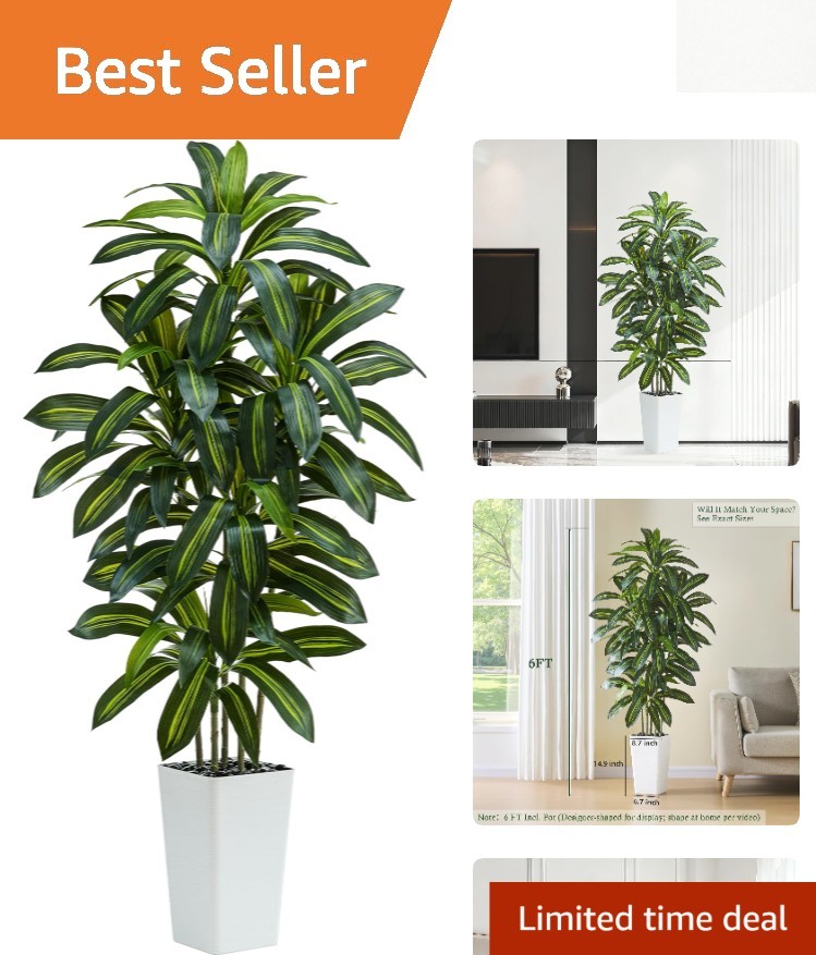 Weather Resistant 6FT Dracaena Tree with Decorative Pebbles – All-Season Appeal
