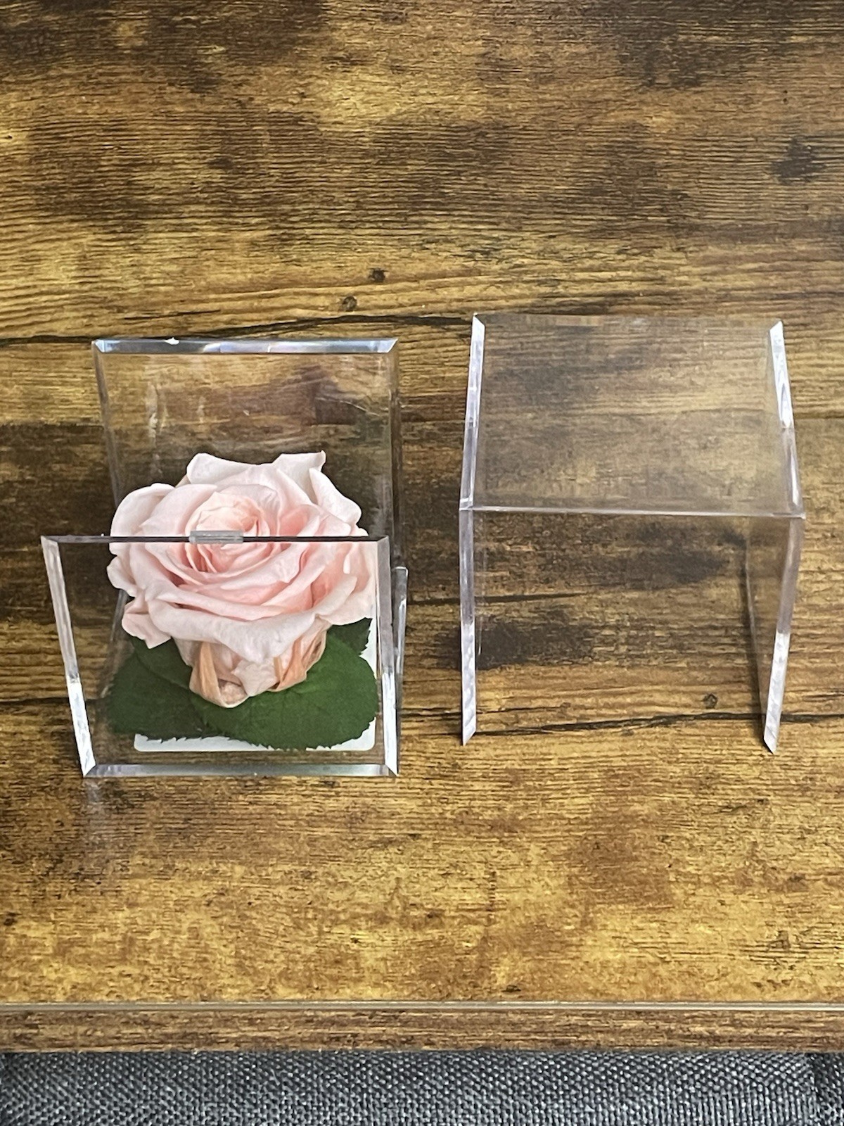 Verdissimo Preserved Rose Head in a Clear Acrylic Cube Light Pink Standard Size