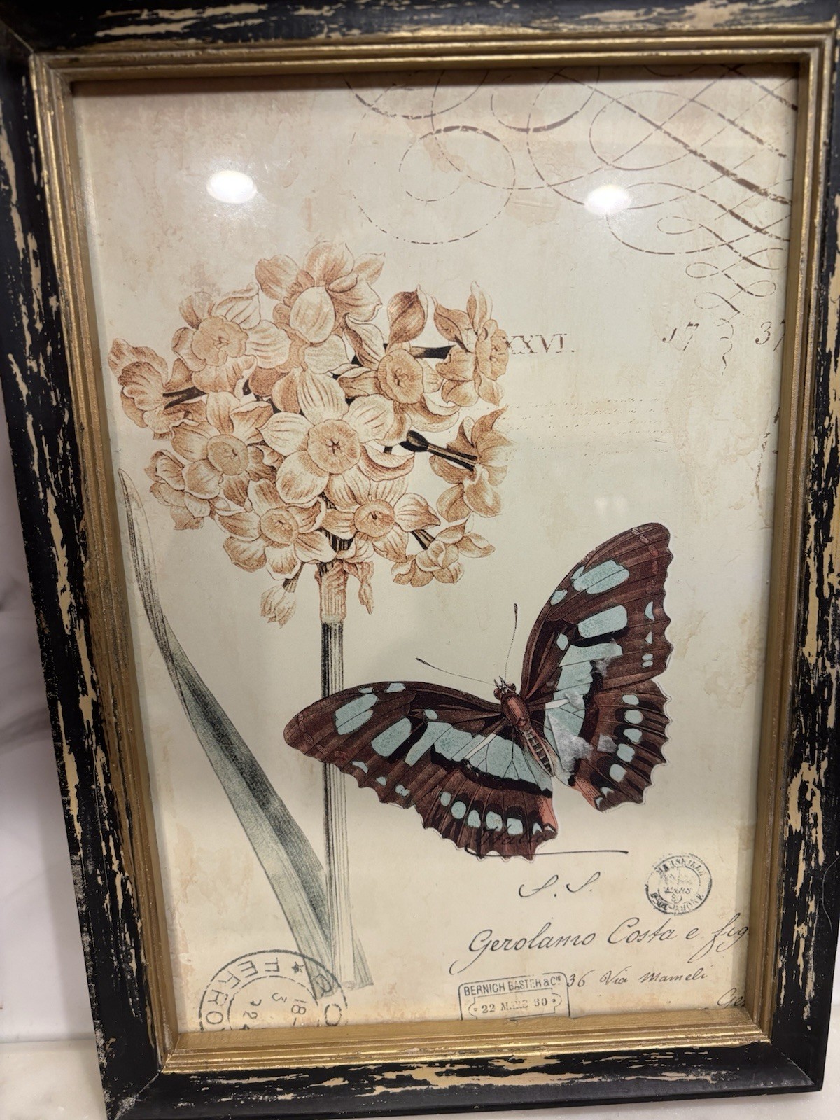 Vintage Style Butterfly & Floral Garden Room Wall Art Decor, Shabby Chic