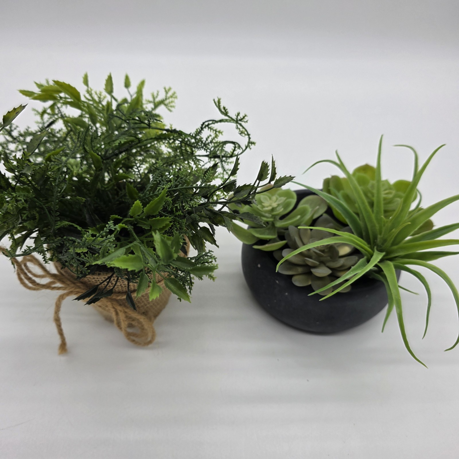 Set of 2 Artificial Potted Plants Faux Greenery Succulent & Fern Home Decor