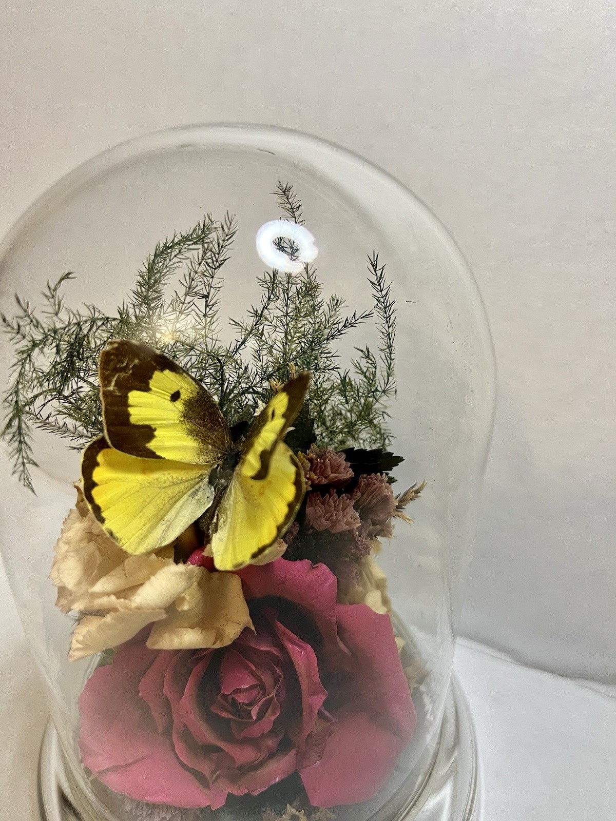 Vintage 90s Natural Expressions Dried Roses Butterfly Glass Terrarium Grannycore