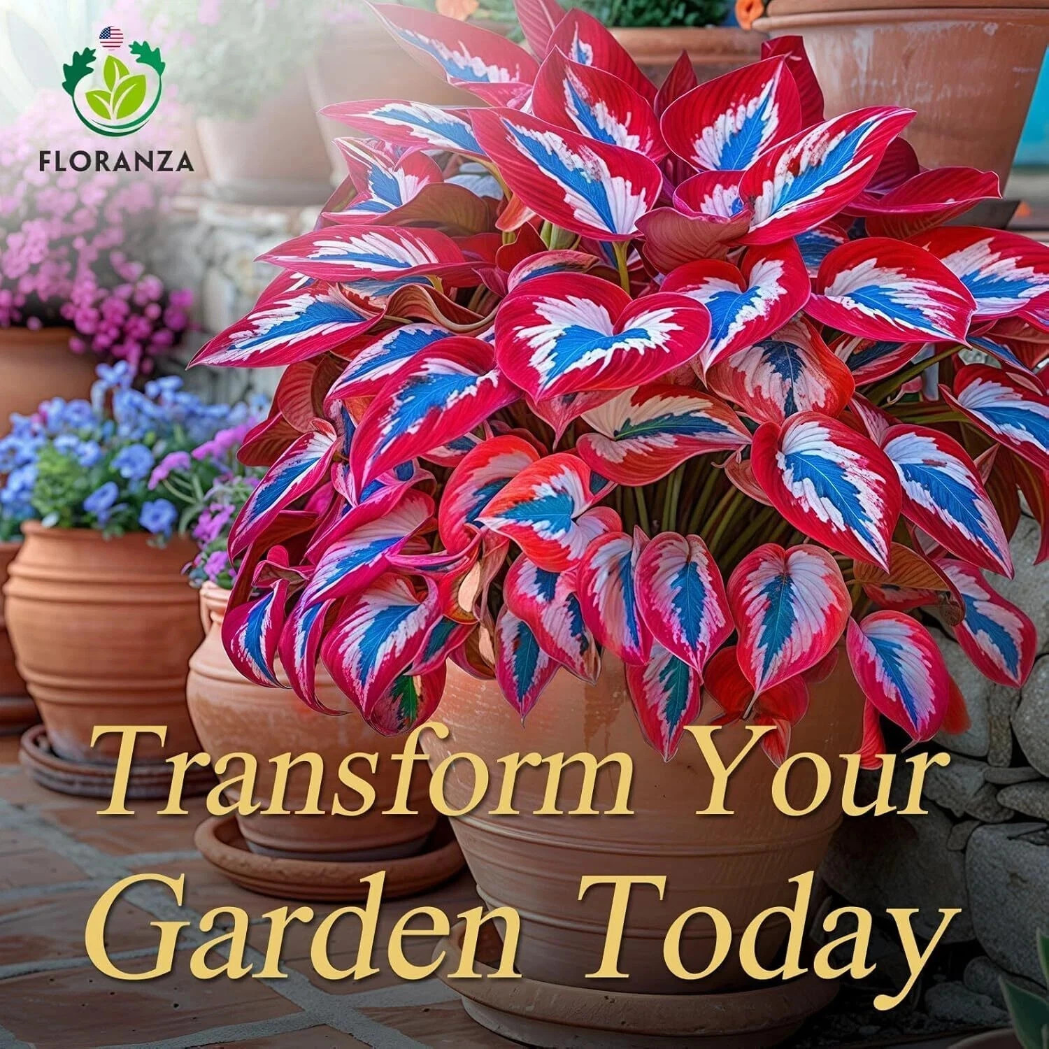 Hosta Seeds – 100 Rare White& Red Hosta with Blue Variations – Perennial Plants