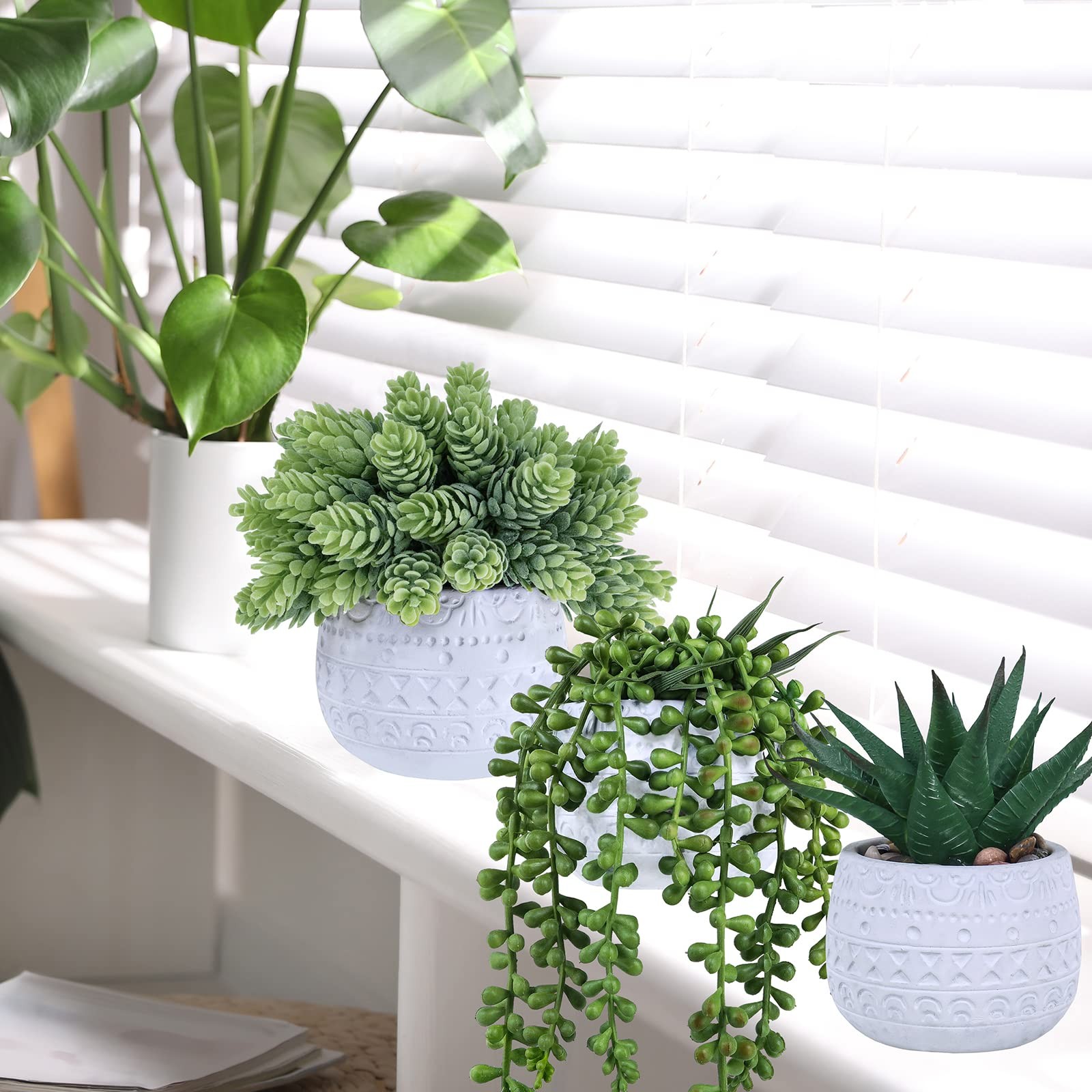 3 Pcs Assorted Small Potted Succulent Plants Artificial Aloe Hanging Succulen…