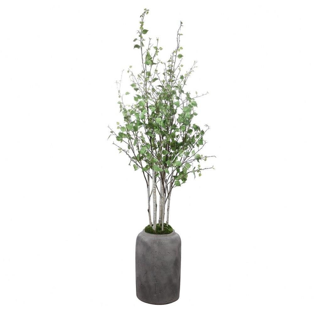 Moorlands Furlong – 77.5 inch Potted River Birch Stem – Decor – Planters –