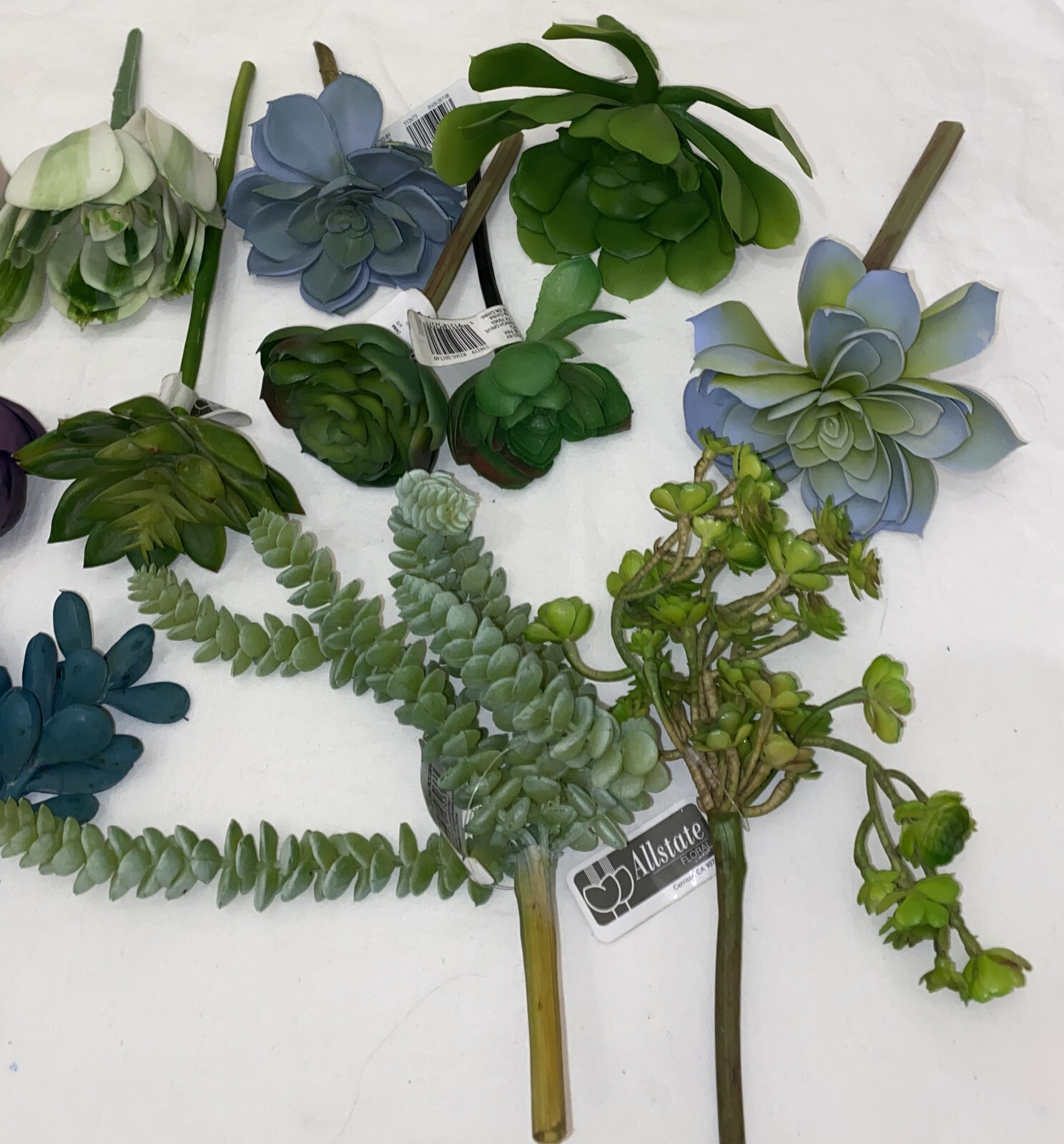 Artificial Succulent Plant Flowers Assorted Lot Preowned W Tags Pier 1 Allstate