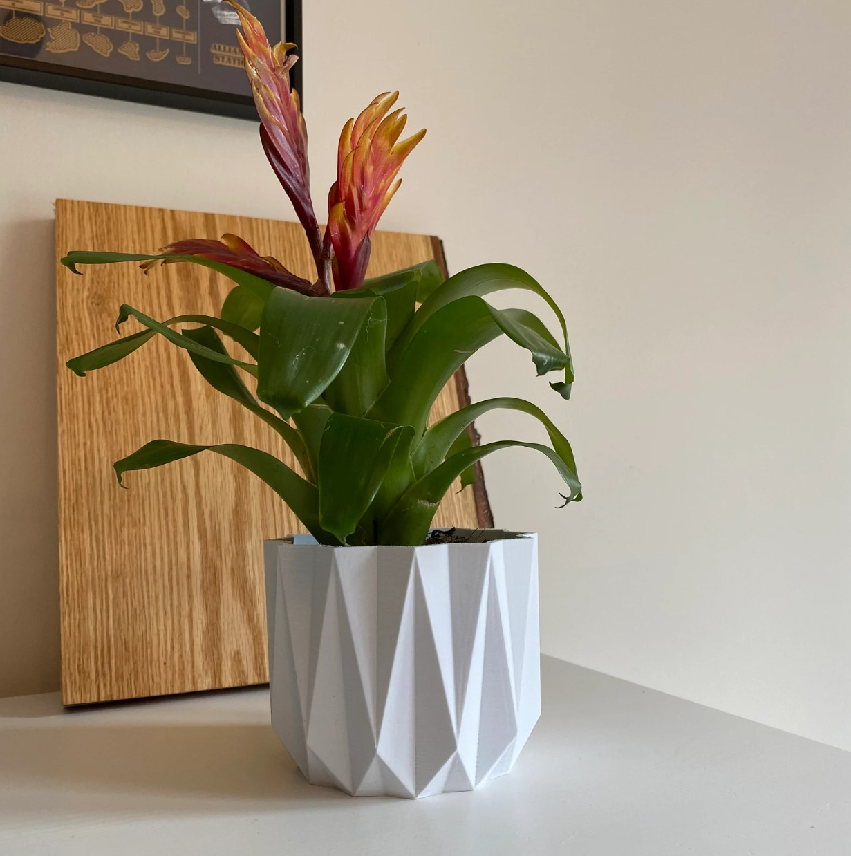 Small Decorative Flower Pot – White – Indoor Plant Pot