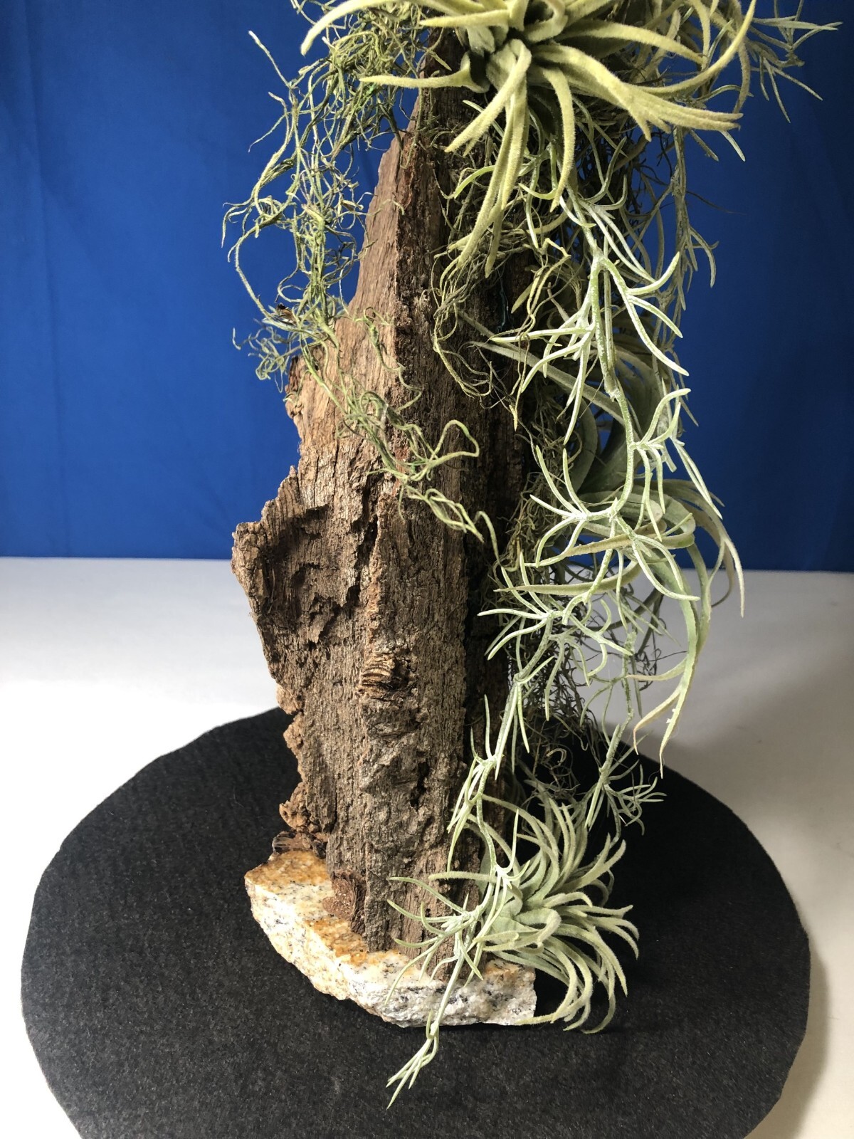 Artificial Succulent Air Plant Home Office Mounted on Real Wood Bark and Stone
