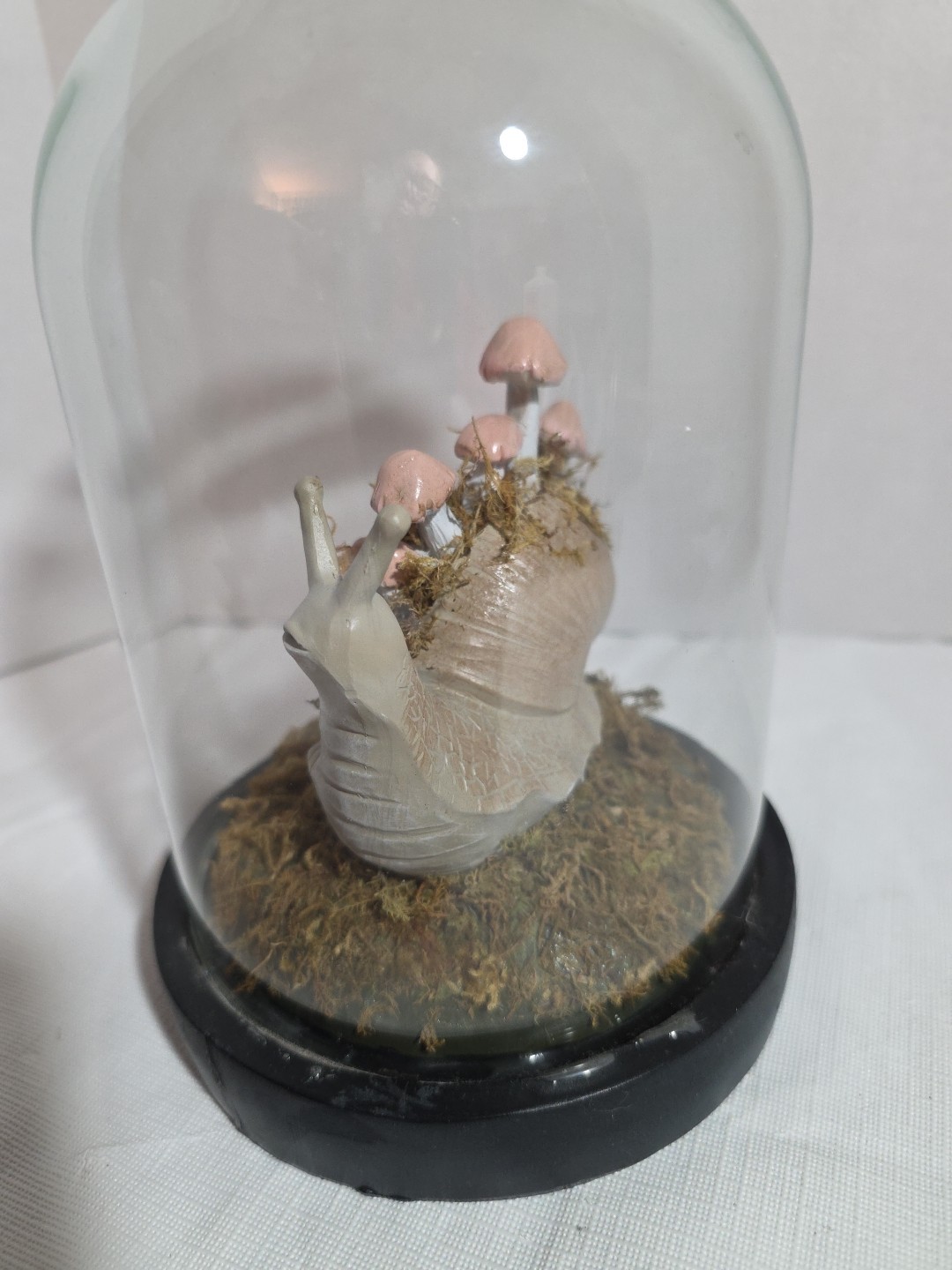 Snail And Mushroom Cloche Terrarium Glass Dome Curiosity Cottage Core
