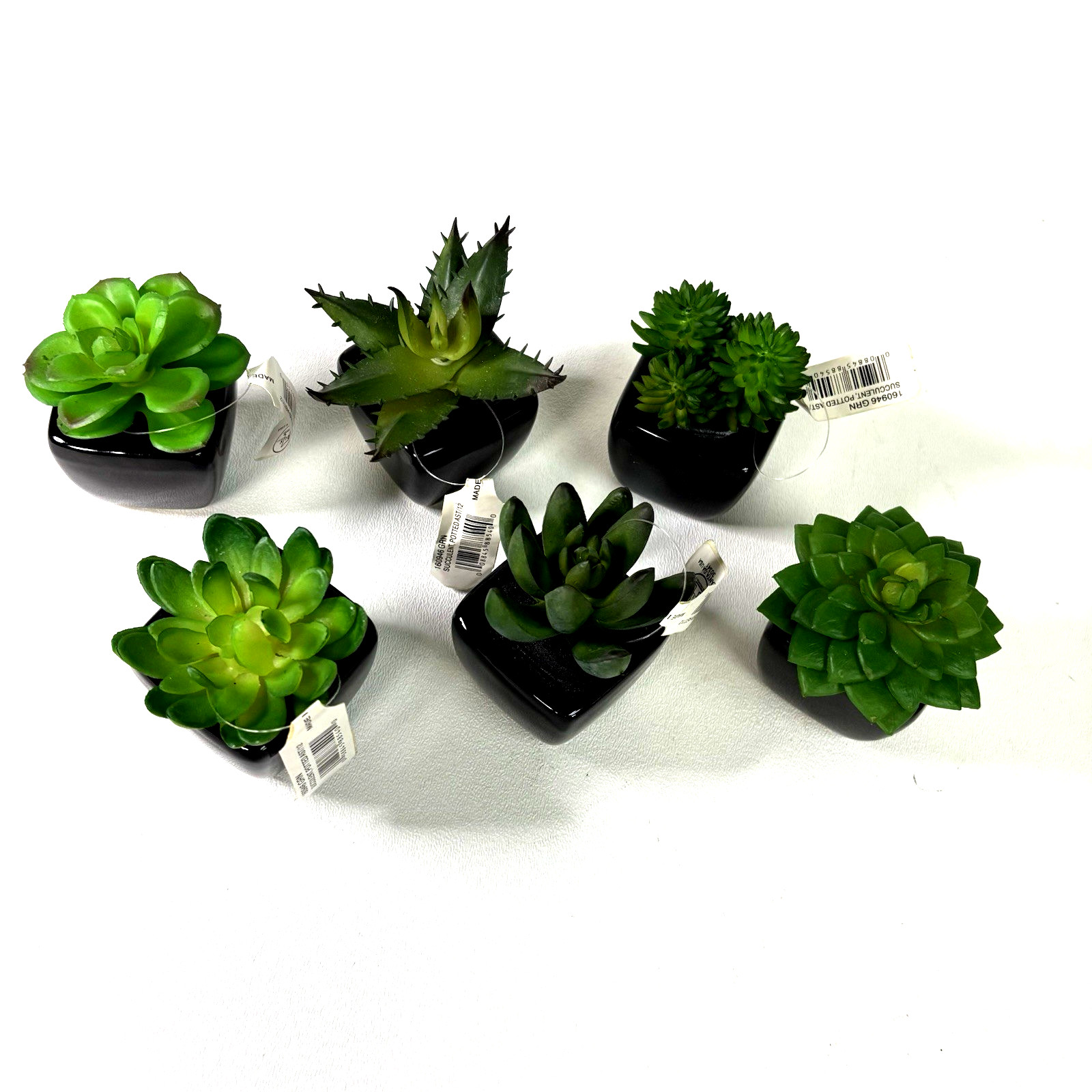 Set of 6 Artificial Mini Succulents in Black Ceramic Pots New With Tags