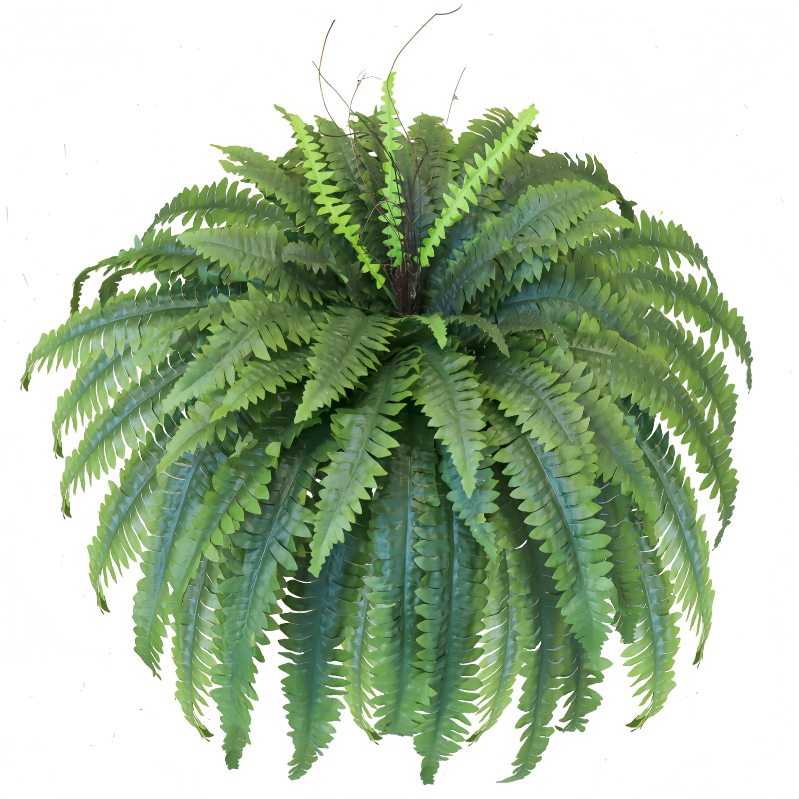 Artificial Ferns for Outdoors & Indoors, 51in Fake Fern Large Plants with 66 …