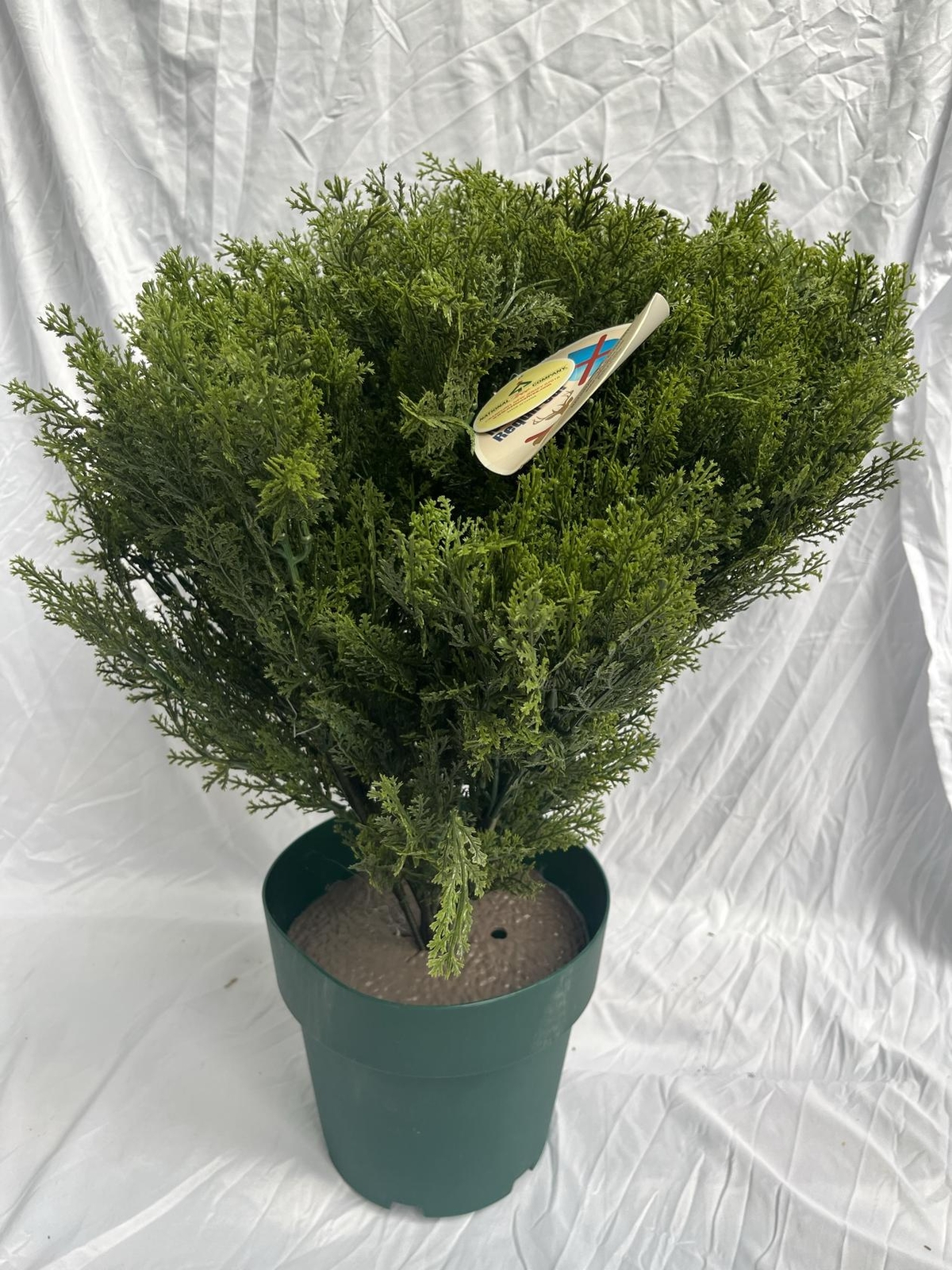 National Tree Company 22-in. Artificial Globe Cedar Tree with Green Growers Pot.