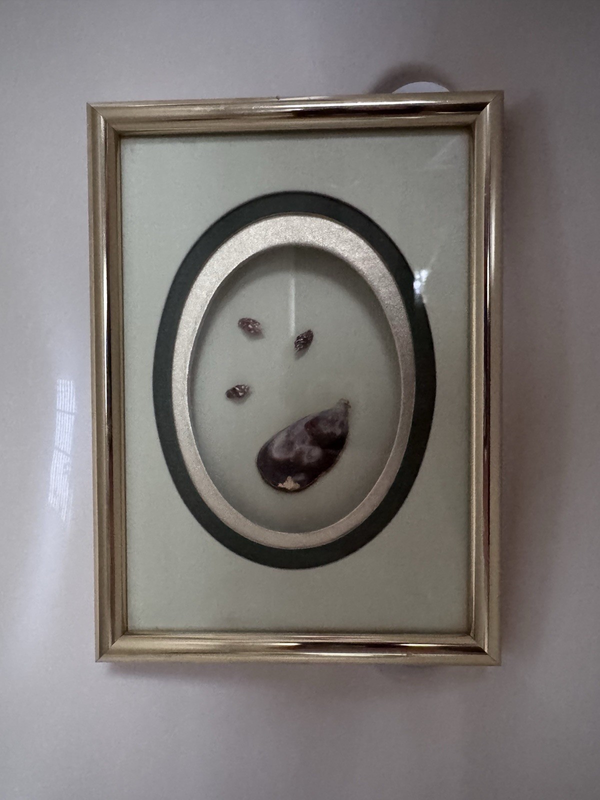 Vintage M&R Original Framed Shell Art Shadow Box Skokie IL Mid Century Coastal