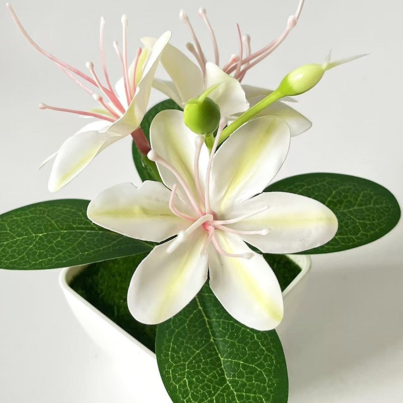 Artificial Jasmine Arrangement 4.9 inches in White Square Pot with Moss Liner