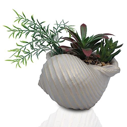 FAUX SUCCULENTS Conch Sea Shell Coastal Beach Decorations ACCESSORYWAY