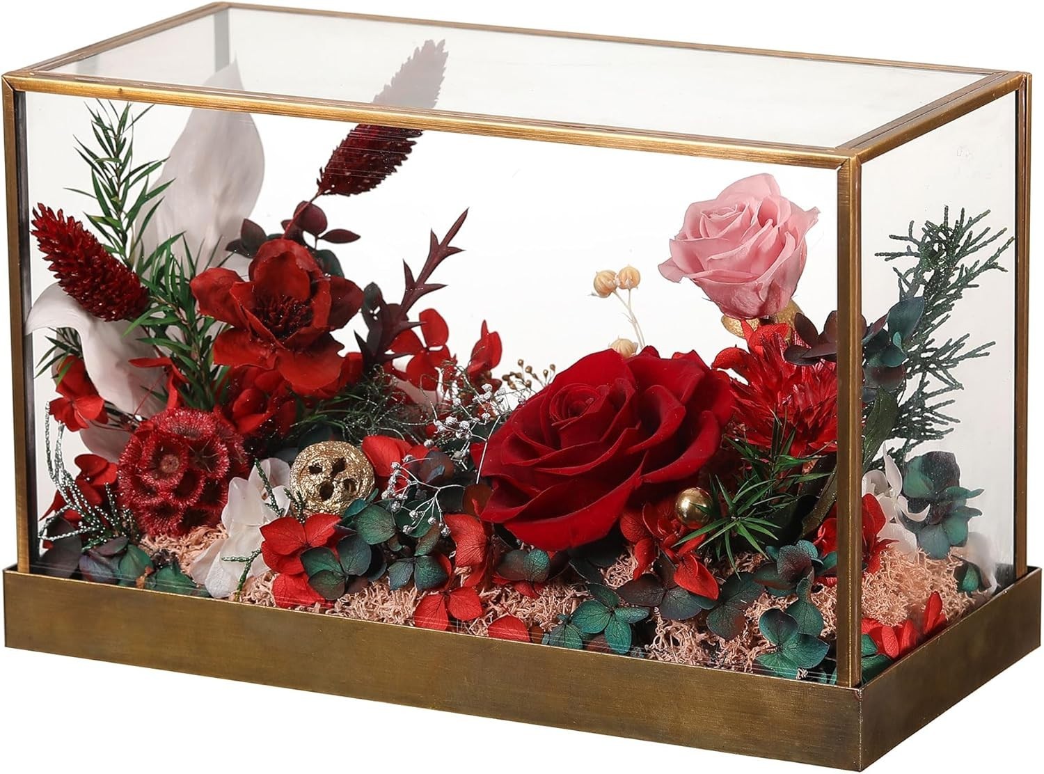 Forever Real Roses Bush in Glass Dome , Handcrafted Preserved F…