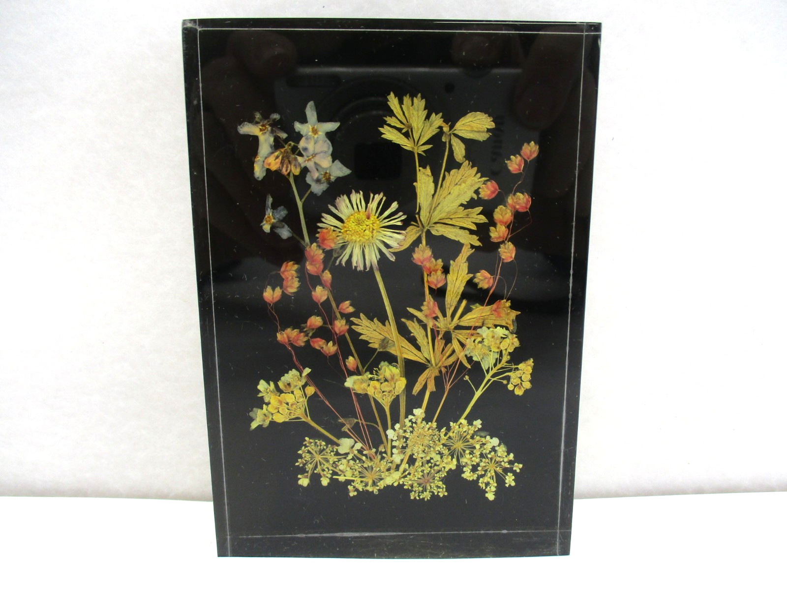Vtg Lucite Pressed Dried Flowers DINA-Brilliant #1710 10×7 cm W. Germany Picture