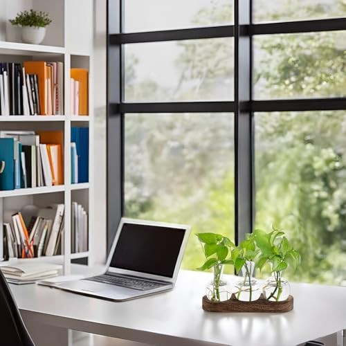 Desktop Plant Propagation Station Glass Planter Terrarium with Medium Brown