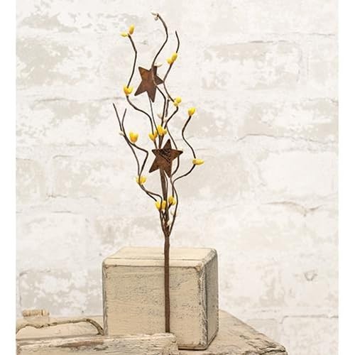 HAPPY DEALS ~ Pip Berry Picks with Rusty Stars | 12 inch | 4 PC Set, Yellow a…