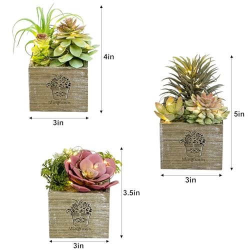 Small Fake Plants, 3 Packs Mini Succulent Plants Artificial with Morning Mist