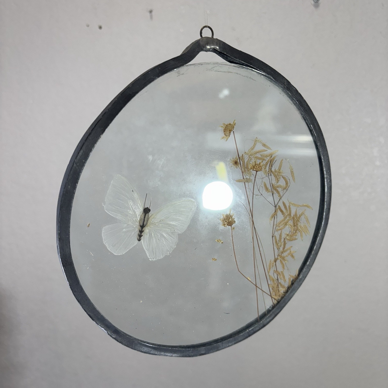 VTG Pressed Flower Butterfly Suncatcher Beveled Glass Decoration Boho Cottage 7”