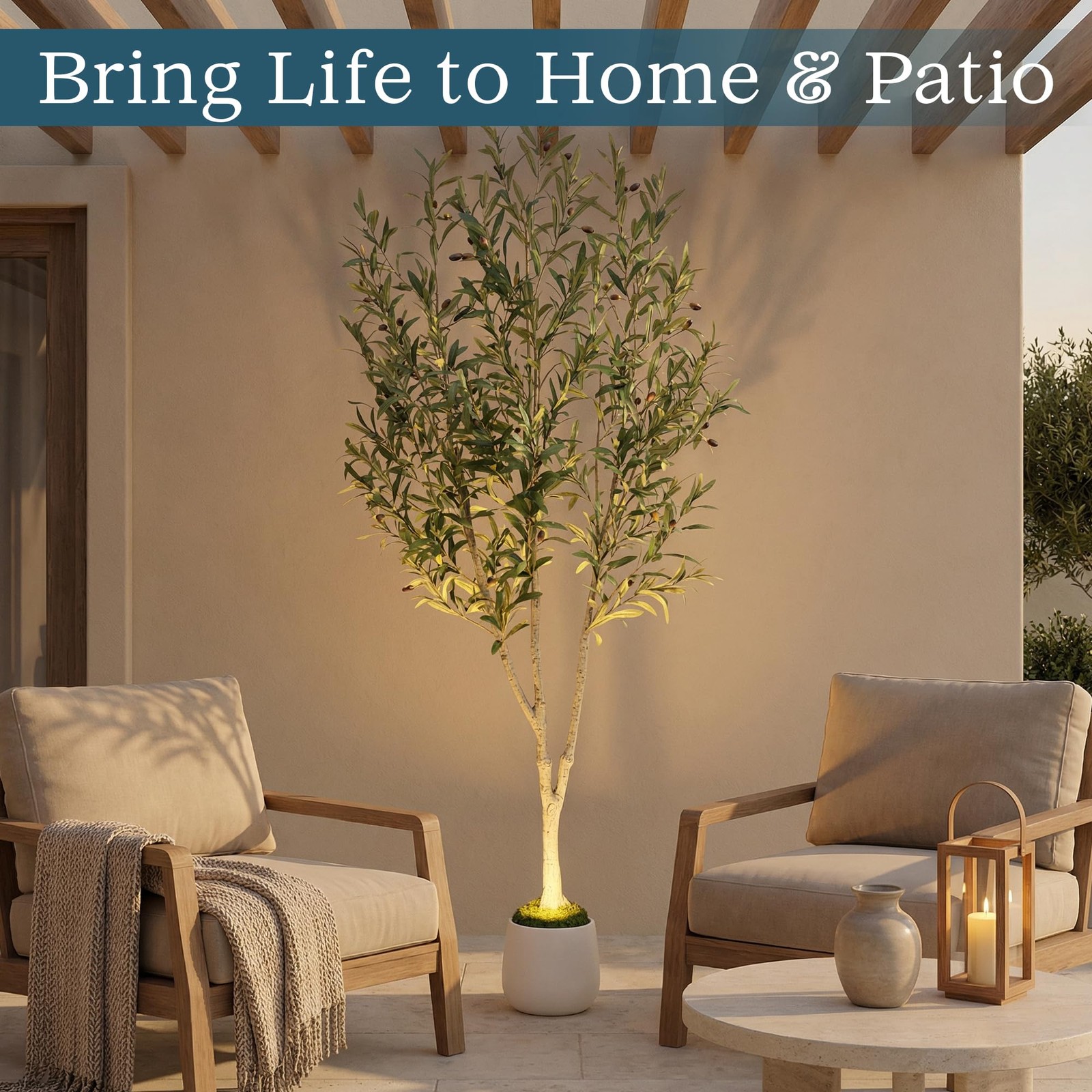 6ft (180 cm) Artificial Olive Tree with White Pot, Moss & USB LED – 943 Leave…