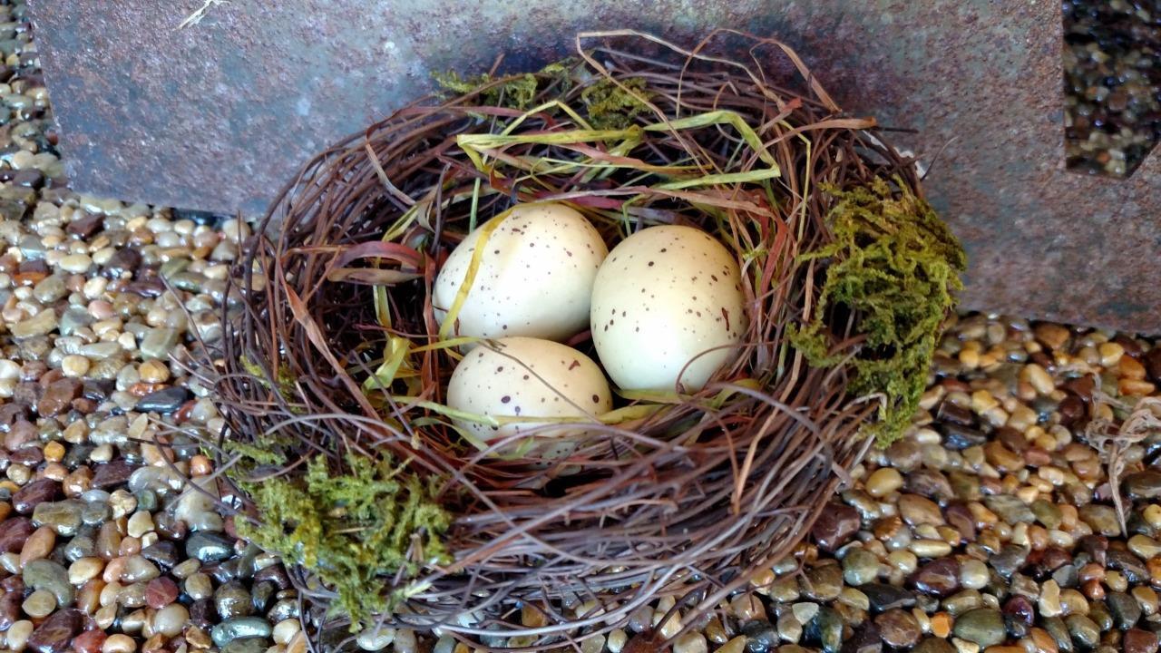 NWT 5″ Rustic 3 Bird EGG in NEST Twig Straw Moss Decor Ornament Craft