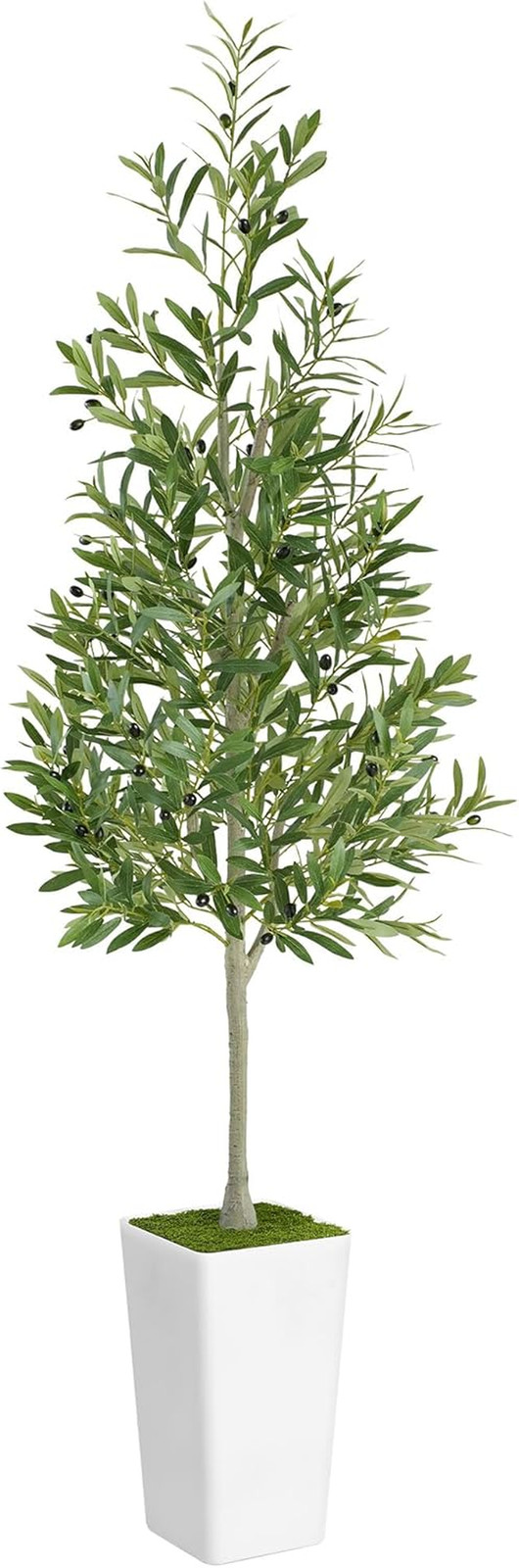 6Ft Realistic Artificial Olive Tree – Perfect Faux Plant for Home & Office Decor