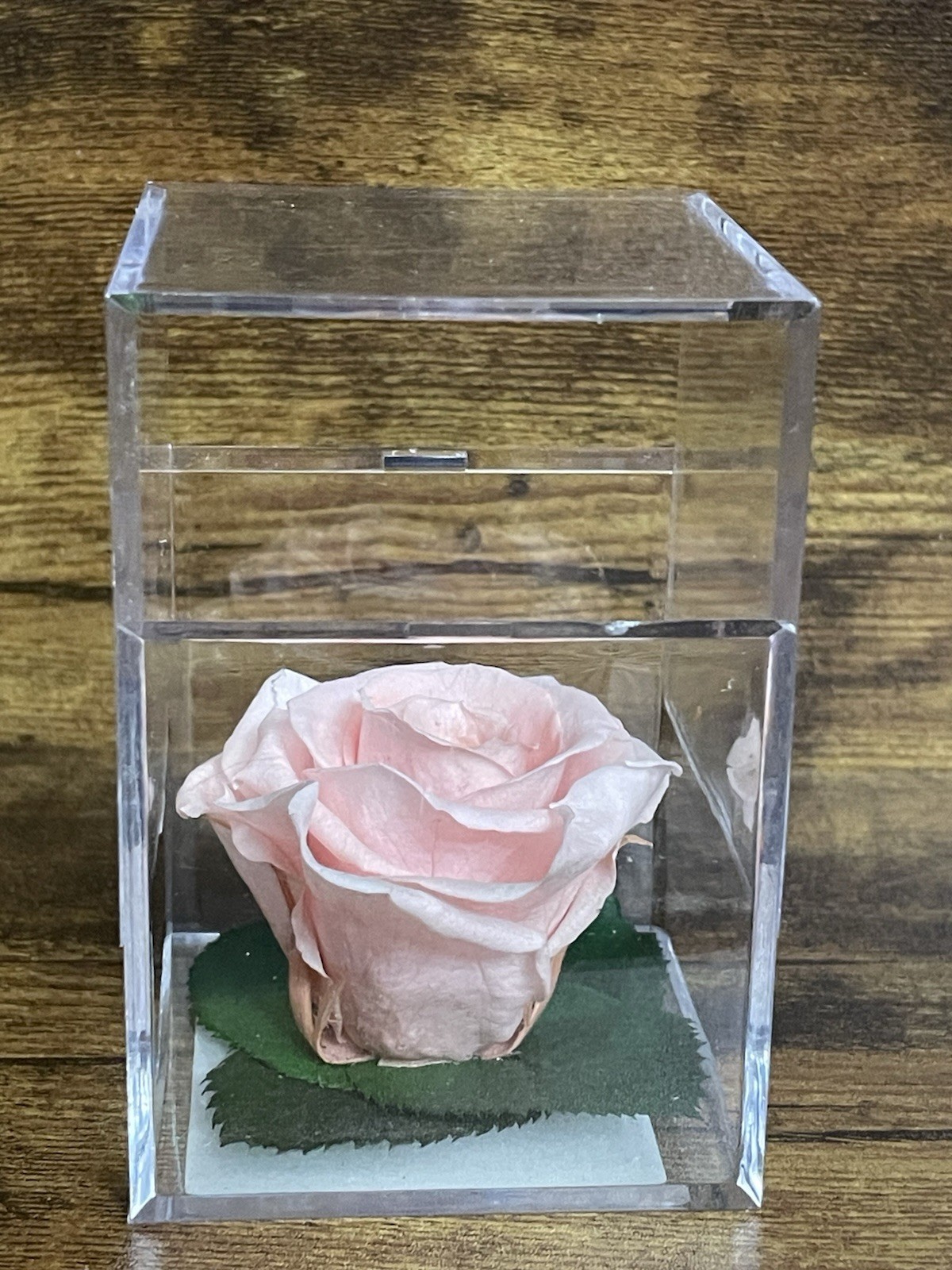 Verdissimo Preserved Rose Head in a Clear Acrylic Cube Light Pink Standard Size