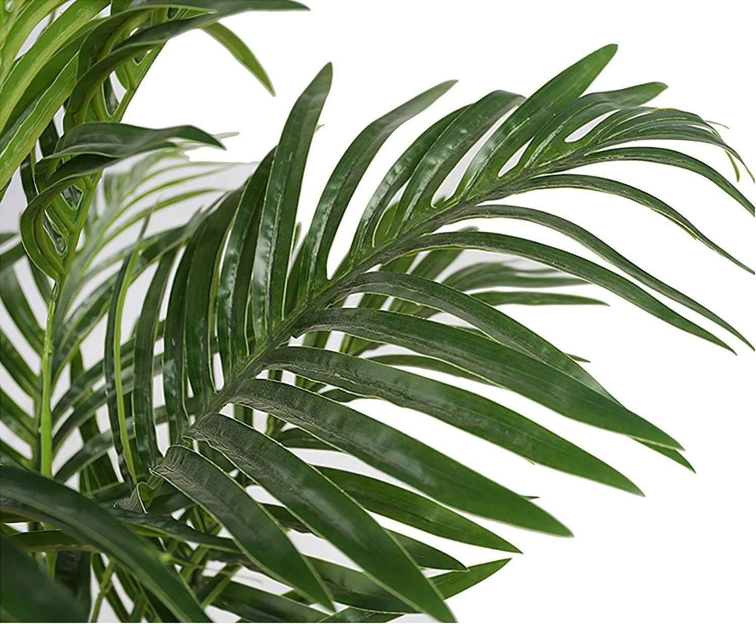 Tropical Phoenix Palm Trees – 6′ UV-Protected Silk Plants (Pack of 2)