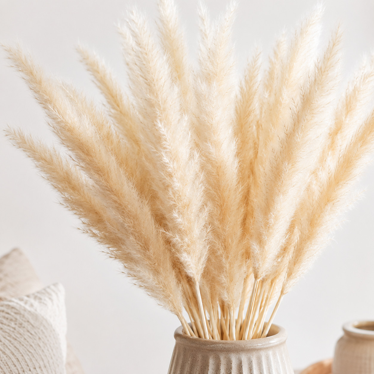 15 Stems Natural Dried White Pampas Grass 24in Boho Wedding Home Decor