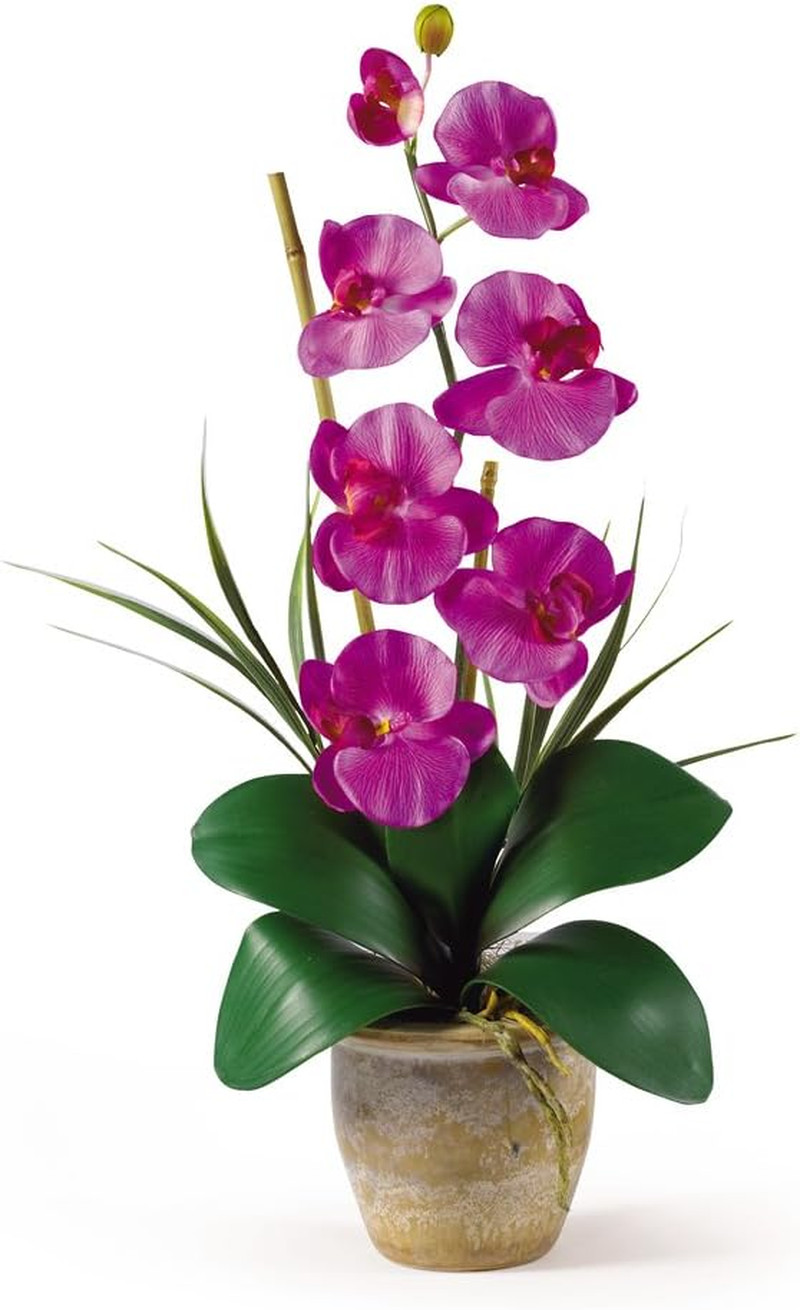 Elegant Phalaenopsis Silk Orchid Flower Arrangement for Home Decor