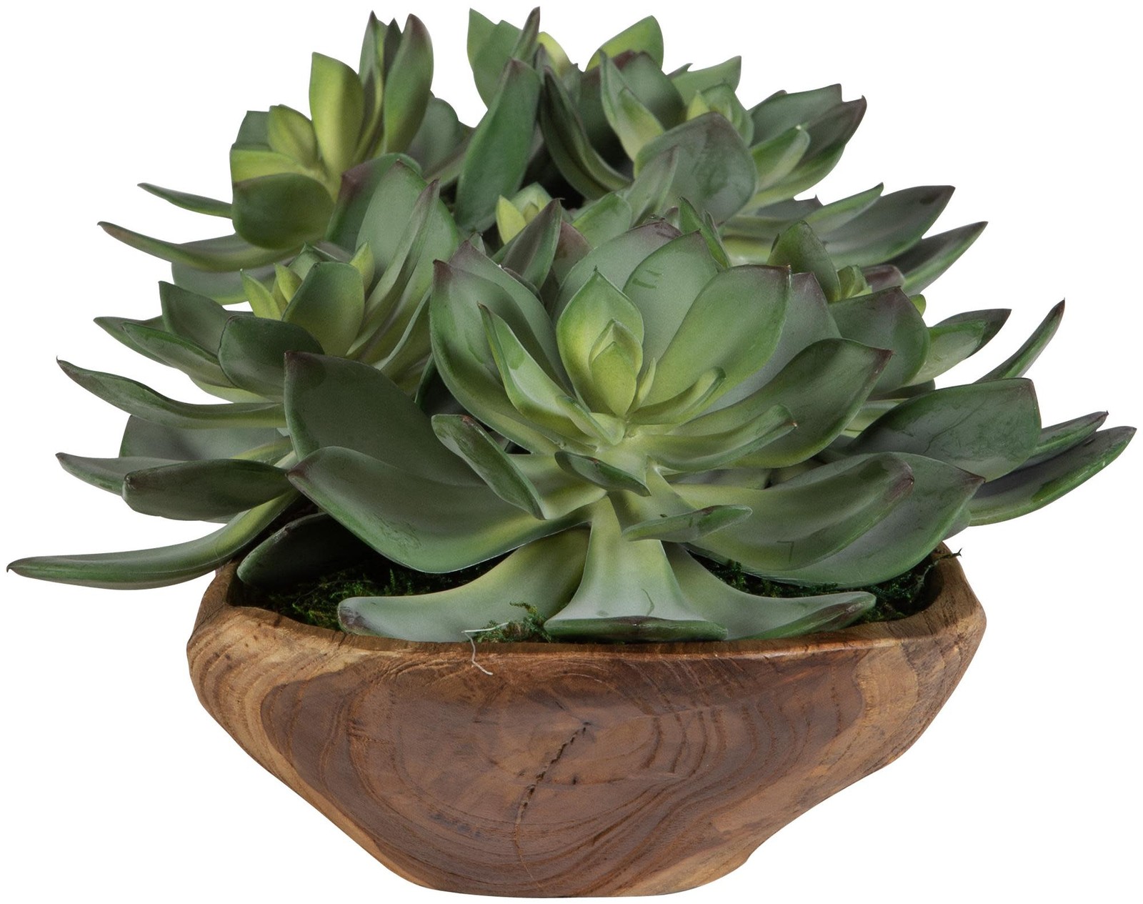 Uttermost 60205 Yuma 8″ Tall Wood Faux Flora Planter – Natural