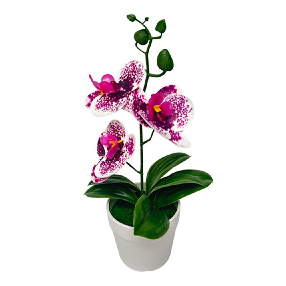 Phalaenopsis Bonsai Decorative Faux Plant Table Decoration Long-lasting Beauty
