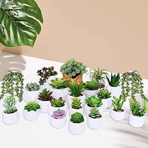 22 Pcs Bulk Artificial Succulents Plants Unpotted Small Aloe Hanging String