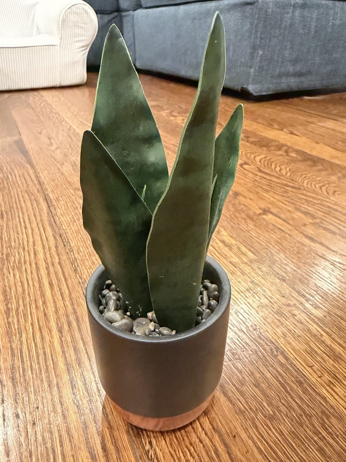Artificial Snake Plant Houseplant in Black Pot w/ Wood Base, Pebbles, 8 in