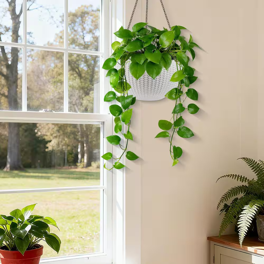 13.4 In. Dia White Plastic Hanging Basket, Dual-Use for Indoor and Outdoor Decor