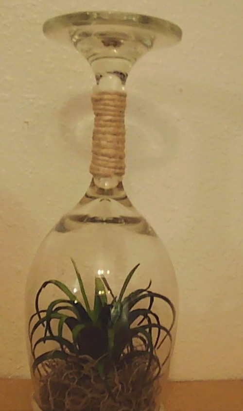 Champagne Glass Planter with Fake Succulent Home Decor 8″ tall