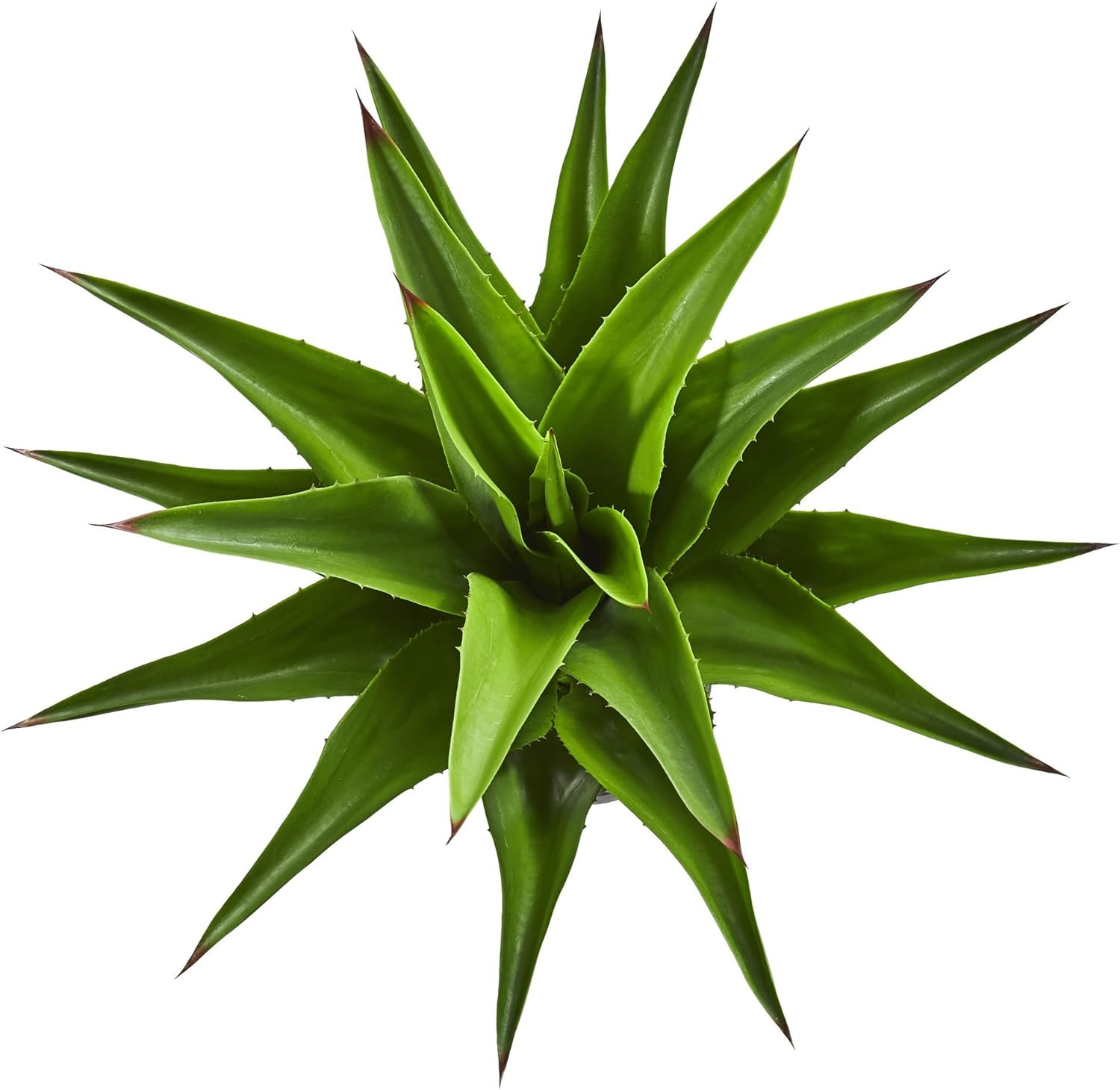 30” Green Agave Artificial Plant by – Lifelike Decor